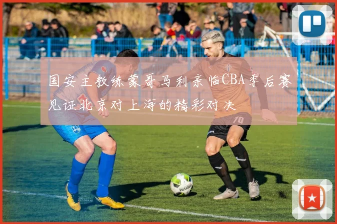 国安主教练蒙哥马利亲临CBA季后赛见证北京对上海的精彩对决