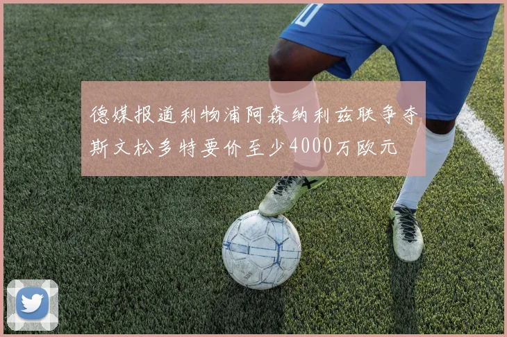 德媒报道利物浦阿森纳利兹联争夺斯文松多特要价至少4000万欧元